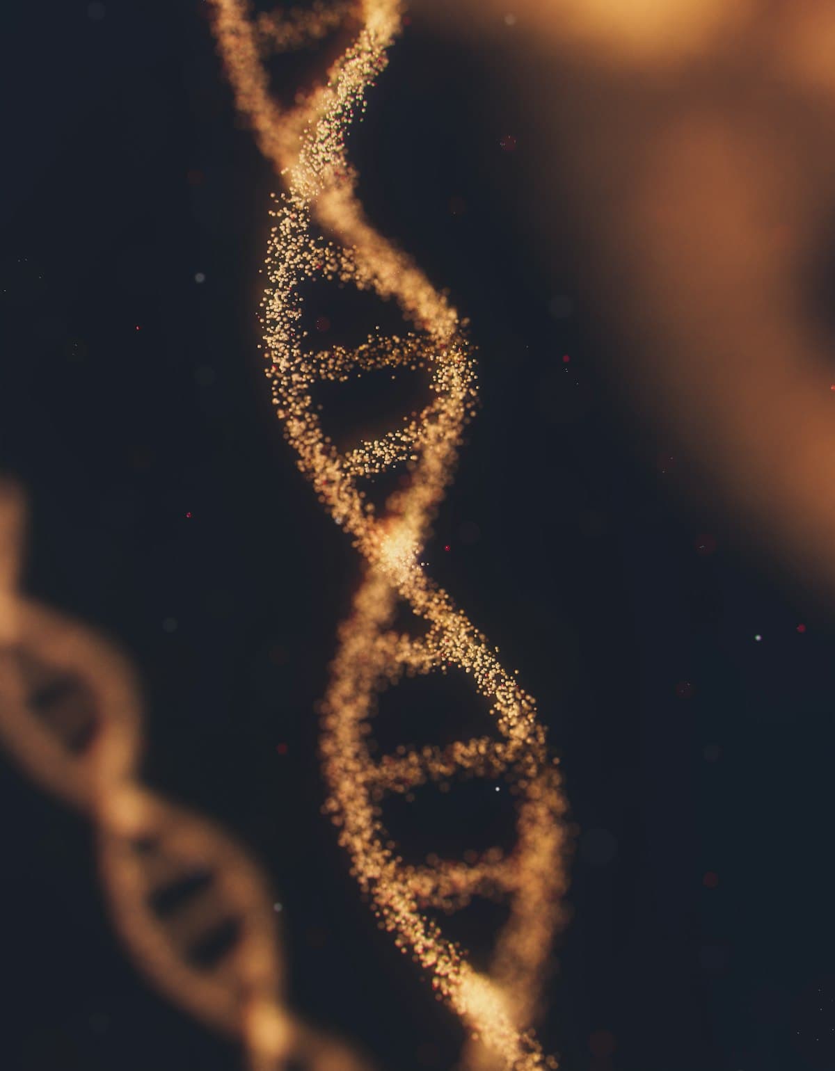 Epithalon: Das Tetrapeptid der Zirbeldrüse in der Aging-Forschung