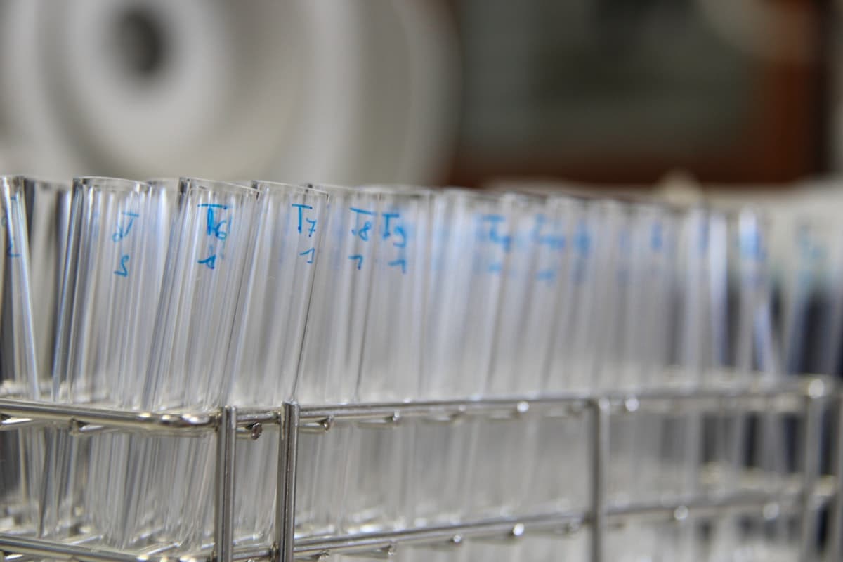 Peptid-Kombinationen in der Forschung: TB-500 und BPC-157 als Synergisten